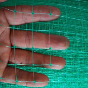 Agricultural anti bird protection net plastic bird screen mesh