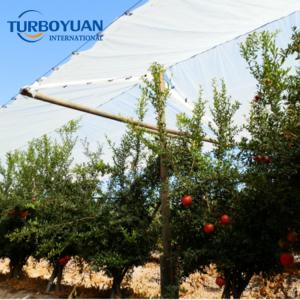 Agricultural reinforced woven cherry anti rain protection covers for fruits