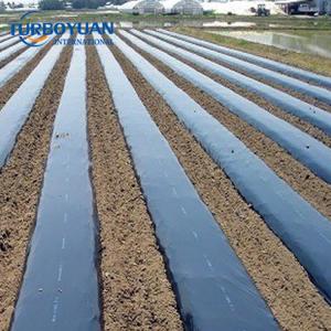 Agriculture strawberries mulch film farm soil covering mulching paper 