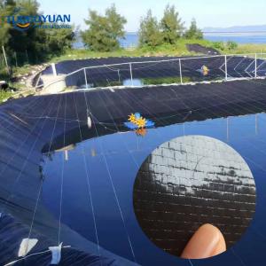 Blue hdpe geomembranes plastic cover the pond geotextile fabric underlayment for pond
