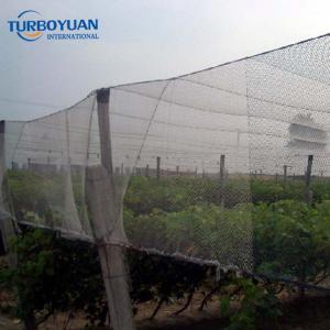 Blue hdpe strawberry plastic bird netting
