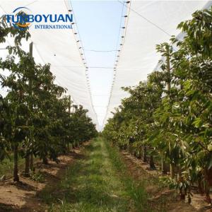 Clear PE woven fabric poly sheet film to cover cherry trees in Chile