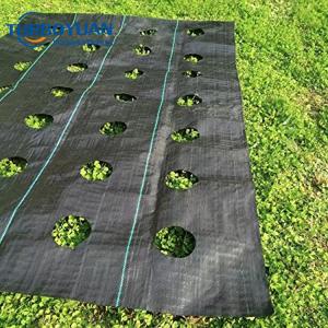 Commercial garden PP landscape fabric with hole