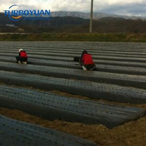 Compostable plastic mulching paper agro pe mulch film