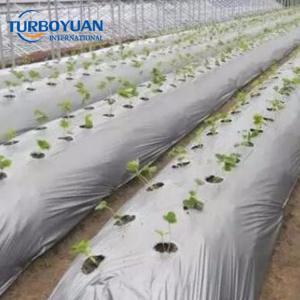 Farming plastic mulch film roll with holes 25 micron silver black mulching paper