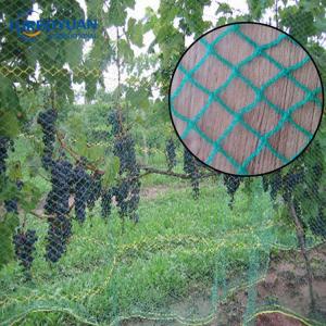 Fruit tree cover birds net HDPE bird protection netting lowes