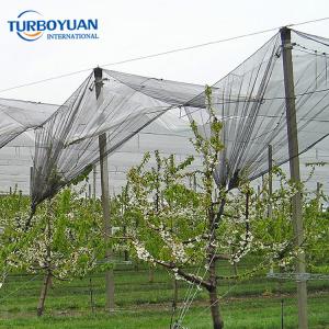 Fruits trees cover anti hail nets vineyard hail protection netting