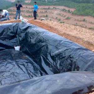 Hdpe or ldpe fish woven fabric pond liner 250gsm rpe geomembrane