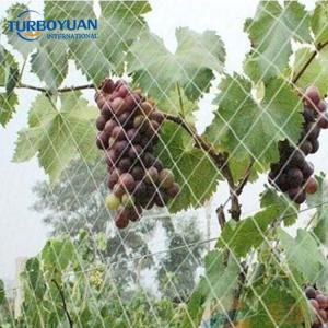 Invisible plastic bird net for agriculture fruit tree