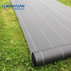 Landscape PP weed mat black plastic ground cover for blueberry