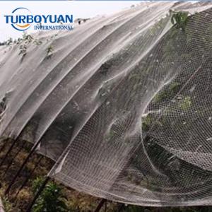 Low price trellis mesh hail netting for gardens hail protection
