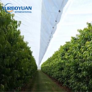 Orchard hail protection plastic anti rain covers for fruit