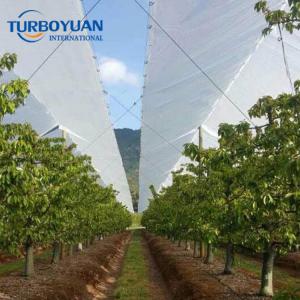 Orchard plastic fruit tree cherry rain covers
