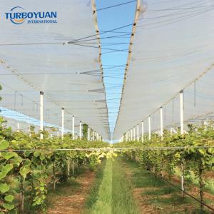 Orchards anti rain cover hdpe uv treated woven fabric film
