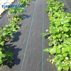 Perennial flowering PP ground cover fabric for dry shade