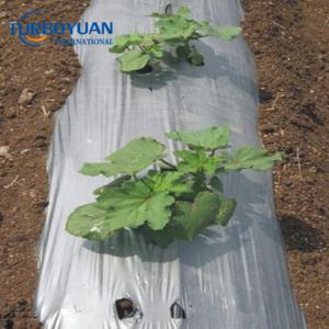 Perforated plastic mulch film horticultural agriculture mulching paper