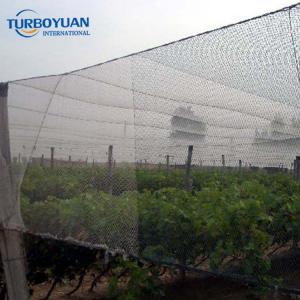 Plastic anti bird mesh net for agriculture
