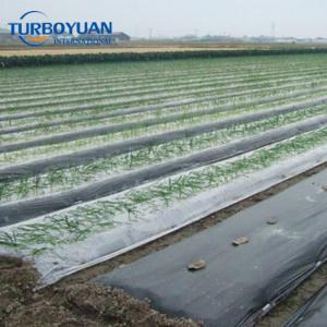 Plastic mulch layer polyethylene pe weed membrane mulching sheet for plants 