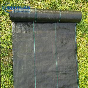 Plastic pp woven mesh fabric ground cover for weed control 