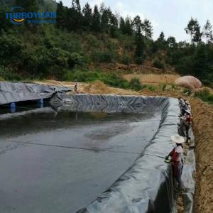 Reinforced hdpe or ldpe geomembrane rpe pond liner price