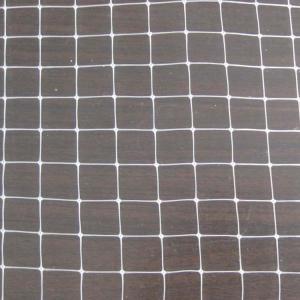 Strawberry HDPE bird net white plastic wire mesh bird netting
