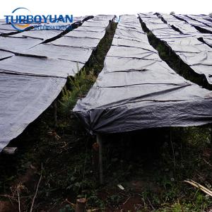 Thick PE tarp laminated roofing cover tarpaulin made in China