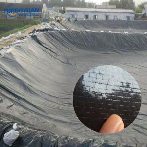 Preformed bentonite pond liner fish farm reinforced RPE plastic lining in malaysia