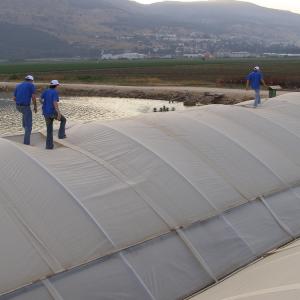 Waterproof transparent tarpaulin with uv treated poly weave woven fabric film for greenhouse